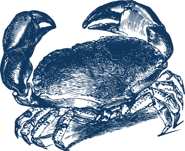 brown crab engraving