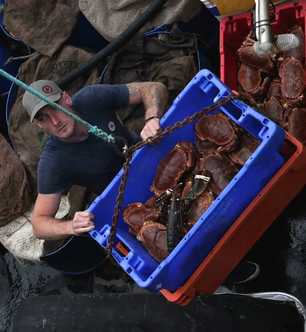 crab fisherman harvesting crabs and a lobster on a boat