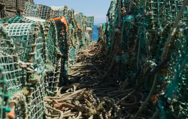 crab pots and ropes in Tavin harbour
